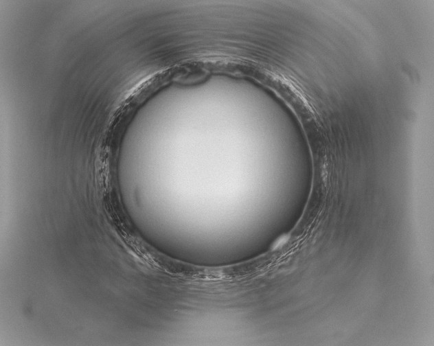 X0000115550968200911201757