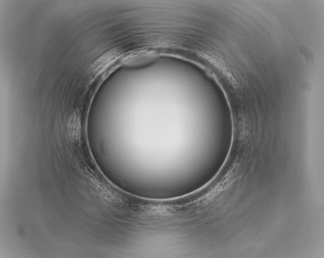 X0000115550969200911201757