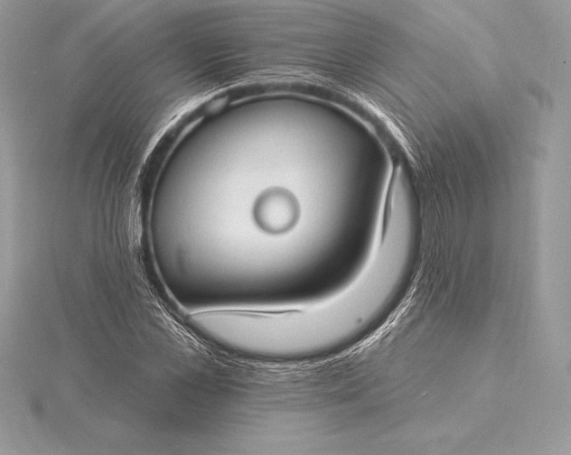 X0000115550973200911201757