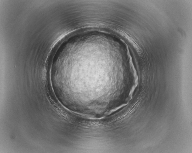 X0000115550975200911201757