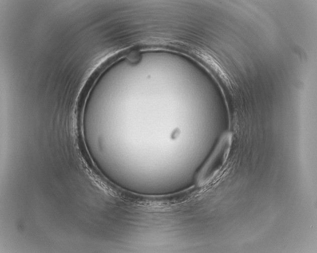 X0000115550976200911201757