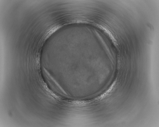 X0000115550977200911201757