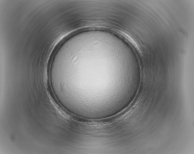 X0000115550980200911201757