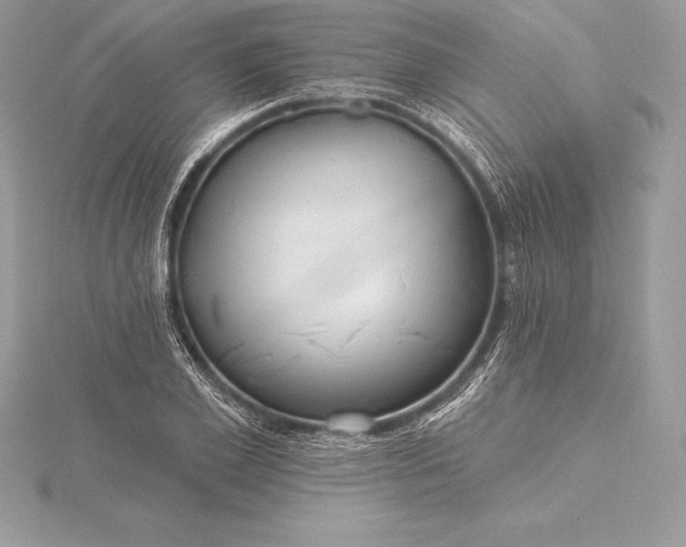 X0000115550981200911201757