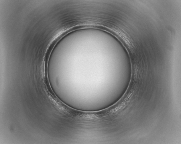 X0000115550982200911201757