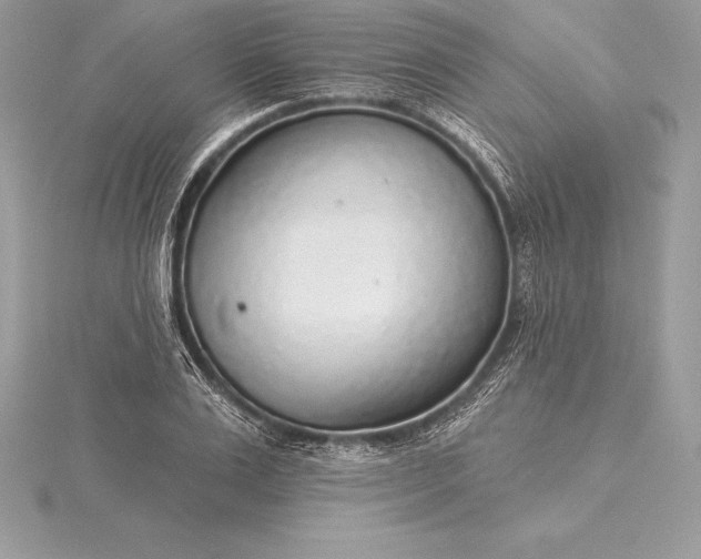 X0000115550983200911201757