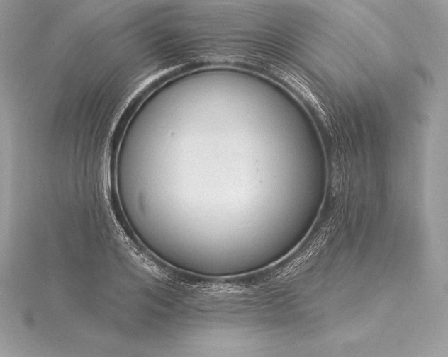 X0000115550984200911201757