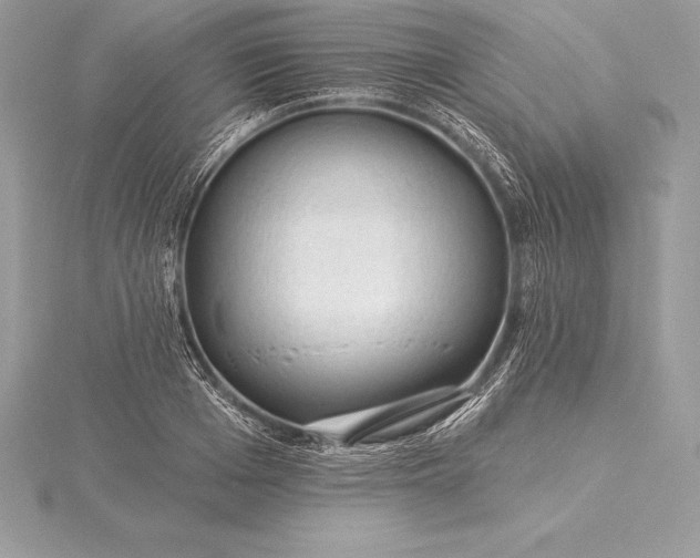 X0000115550985200911201757