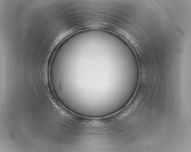 X0000115550986200911201757