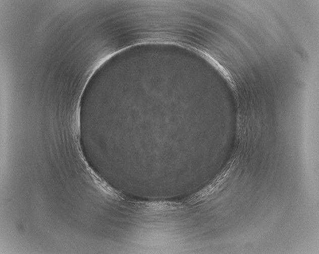 X0000115550988200911201757