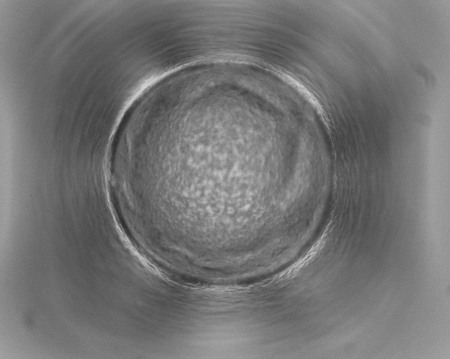 X0000115550989200911201757