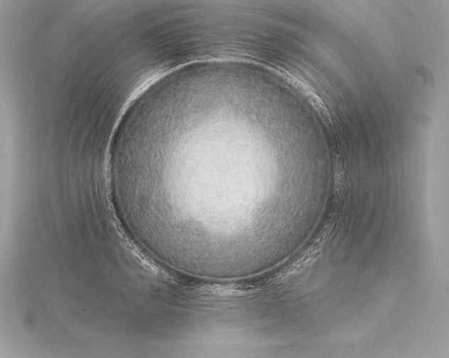 X0000115550990200911201757