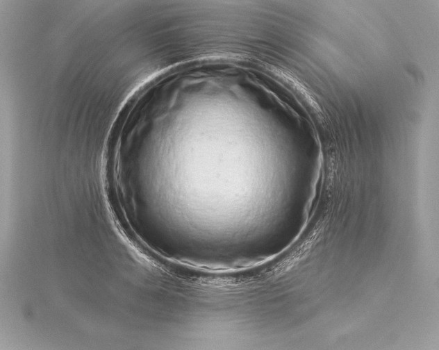 X0000115550991200911201757