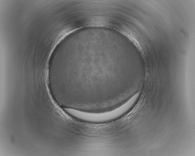 X0000115550992200911201757