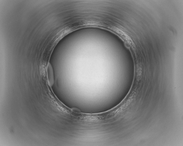 X0000115550993200911201757