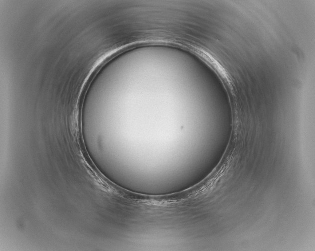 X0000115550996200911201757