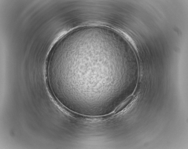 X0000115550997200911201757