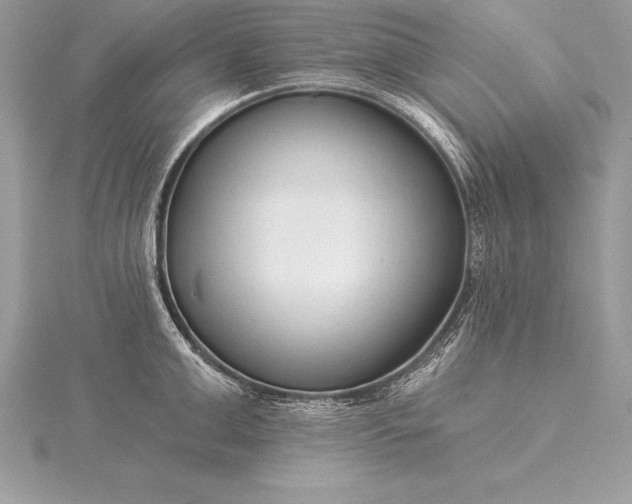 X0000115550999200911201757