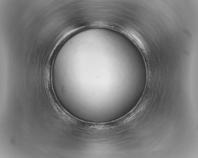 X0000115551000200911201757