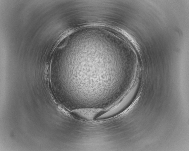 X0000115551001200911201757