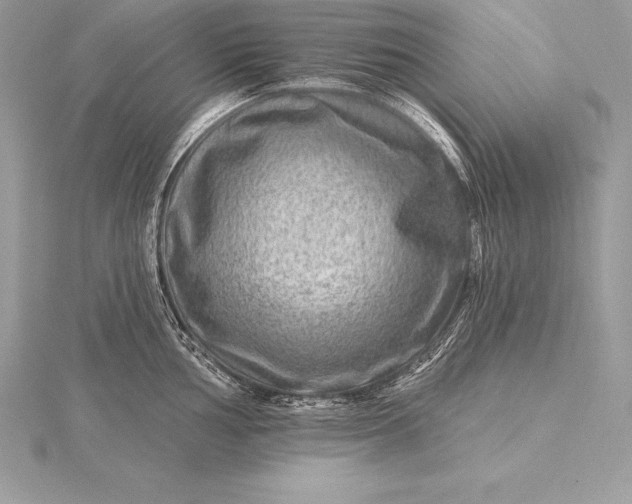 X0000115551002200911201757