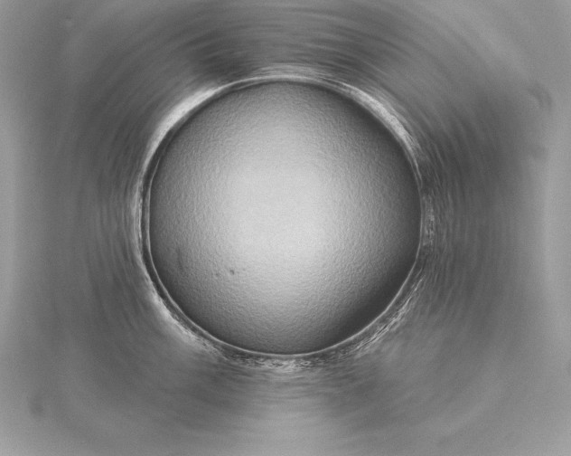 X0000115551003200911201757