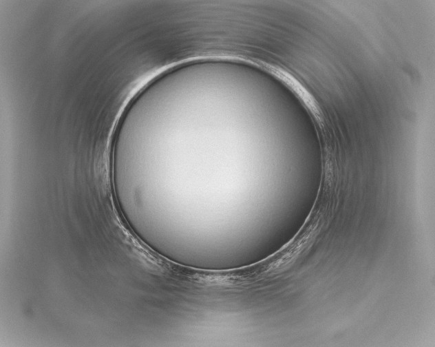 X0000115551004200911201757