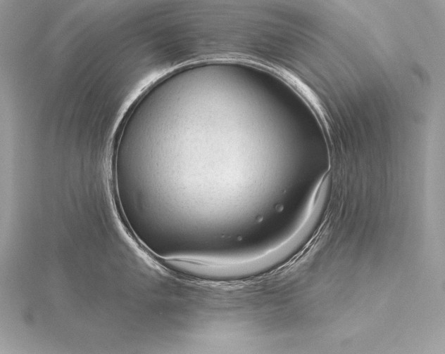 X0000115551005200911201757