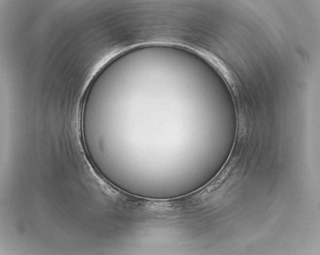 X0000115551006200911201757