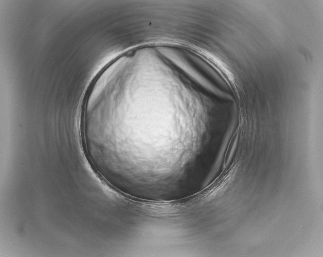 X0000115551007200911201757