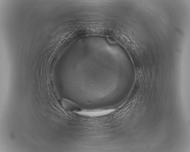 X0000115551009200911201756