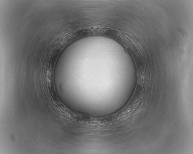 X0000115551010200911201756