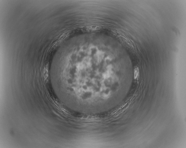 X0000115551011200911201756