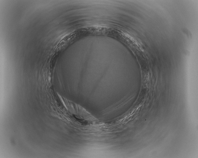 X0000115551013200911201756