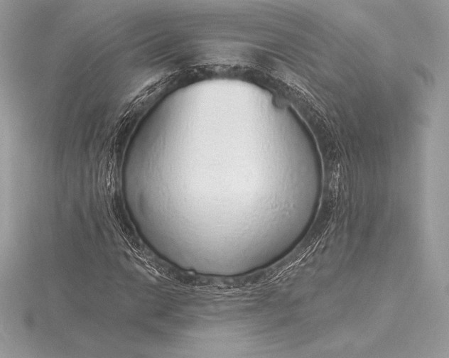 X0000115551014200911201756