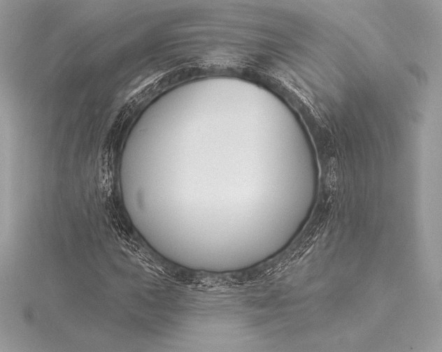 X0000115551015200911201756