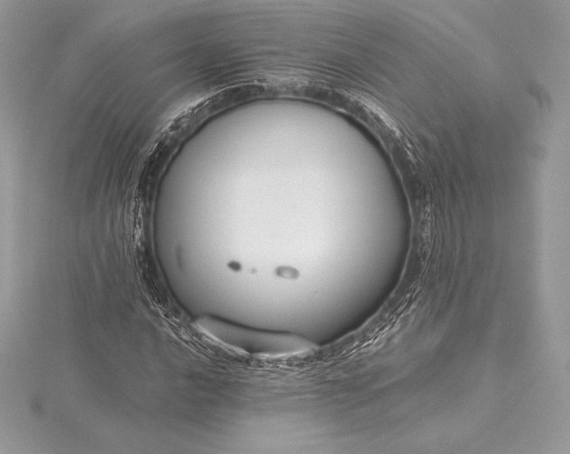 X0000115551016200911201756