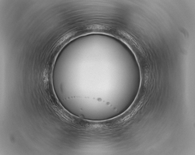 X0000115551017200911201756