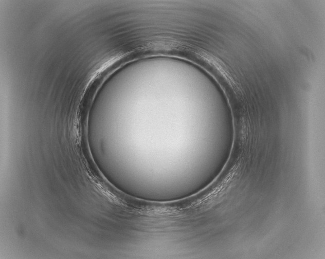 X0000115551018200911201756