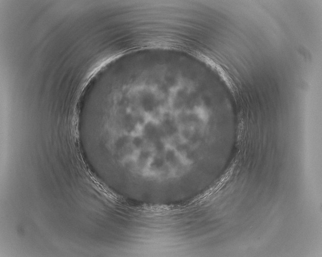 X0000115551019200911201756