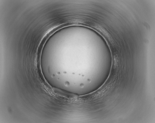 X0000115551020200911201756