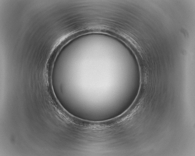 X0000115551022200911201756