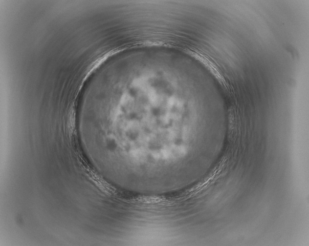 X0000115551023200911201756