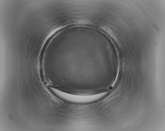 X0000115551024200911201756