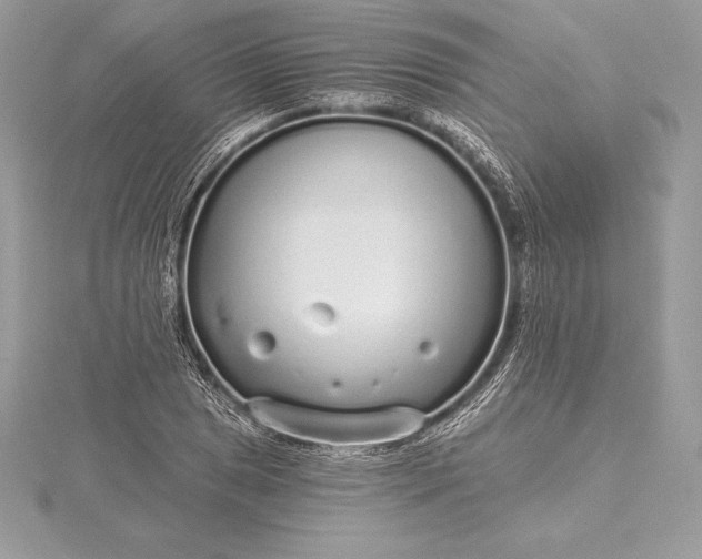 X0000115551025200911201756