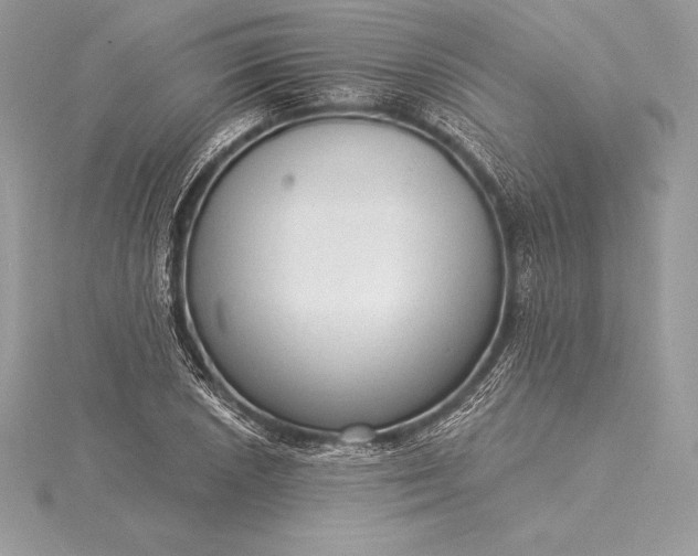 X0000115551026200911201756