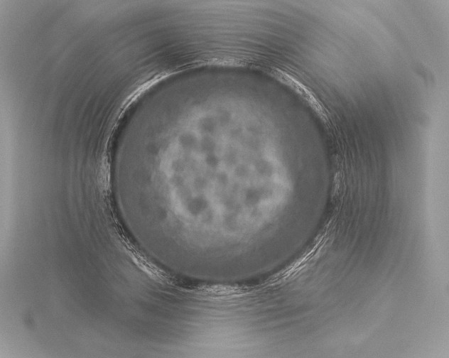 X0000115551027200911201756