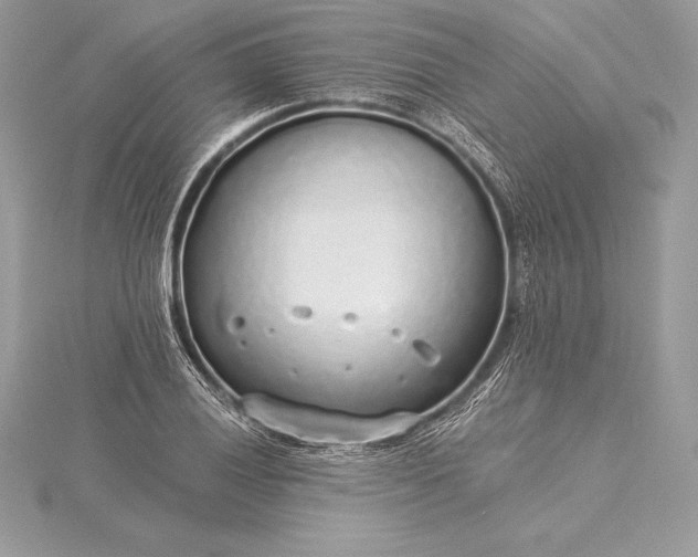 X0000115551028200911201756