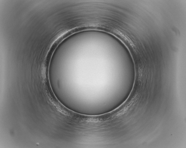 X0000115551029200911201756