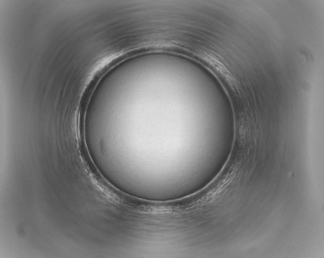 X0000115551030200911201756